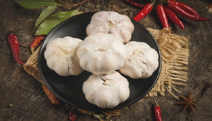 大蒜（企业商用）555.jpg