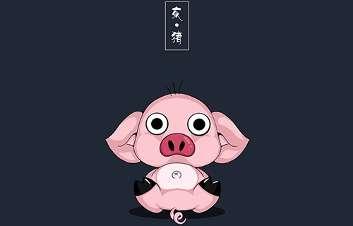 猪.jpg