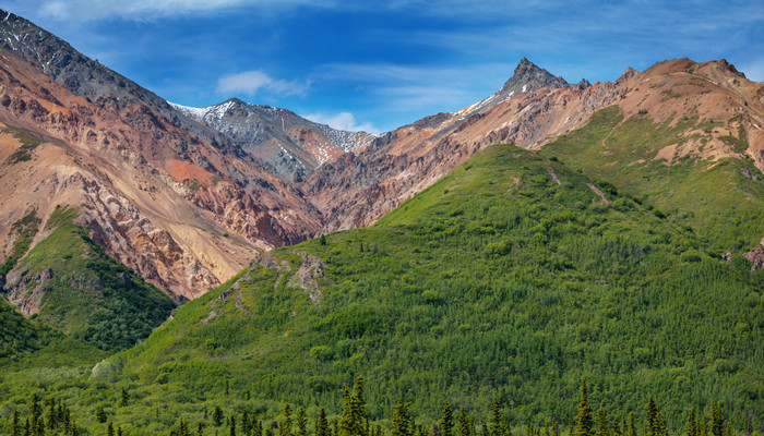 摄图网_300101371_阿拉斯加的山脉夏天阿拉斯加风景如画的山脉积雪覆盖的地块,冰川岩石峰（企业商用）.jpg